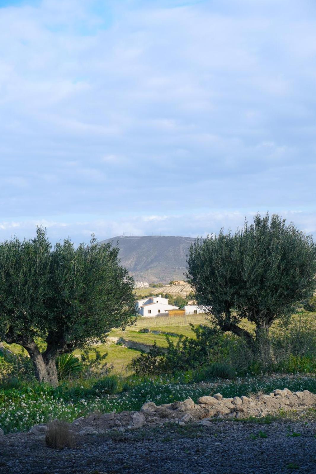 Hotel Finca Olivar Бениса Екстериор снимка