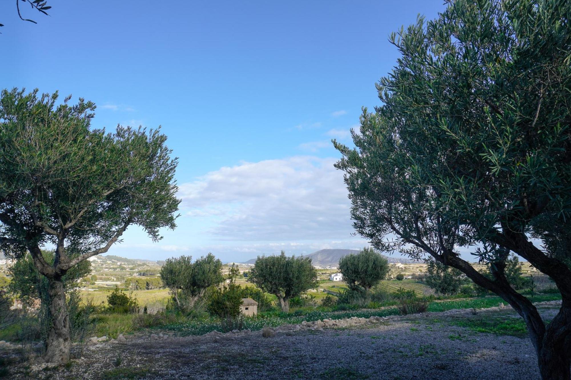 Hotel Finca Olivar Бениса Екстериор снимка