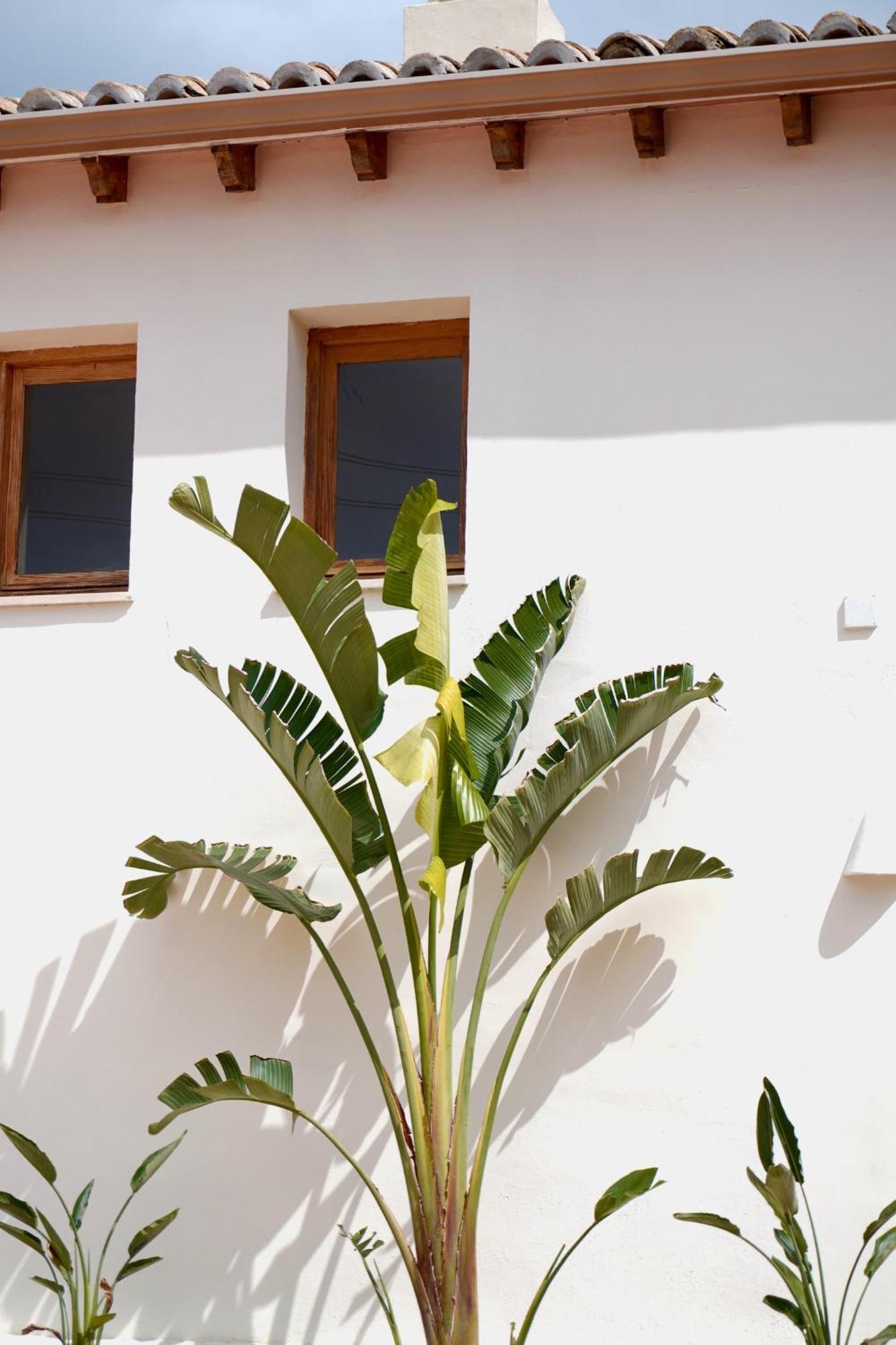 Hotel Finca Olivar Бениса Екстериор снимка